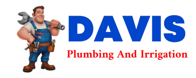 Trusted plumber in HALLSVILLE